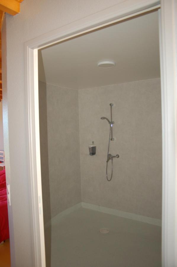 Gite Du Haut Cantal - Appartements Meubles Avec Kitchenette Et Chambres Sans Kitchenette Condat  Exterior foto