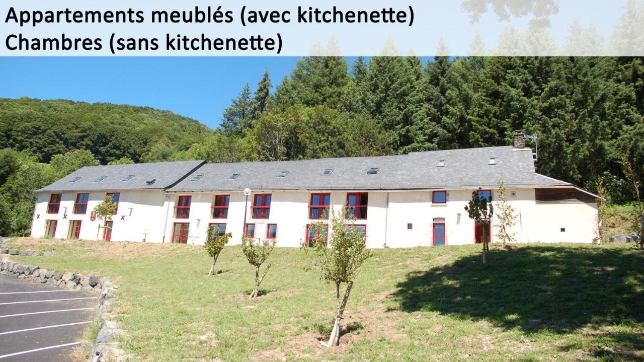 Gite Du Haut Cantal - Appartements Meubles Avec Kitchenette Et Chambres Sans Kitchenette Condat  Exterior foto